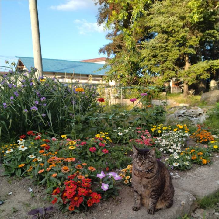 1bb9de8c 6978 46bb 9eb2 ed305e4731b7 1718747820693