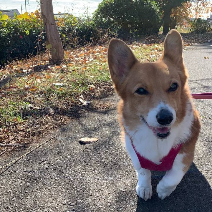 1bb9ed7b 8662 4ccf 9722 e2ff1b40908c 1701400318082