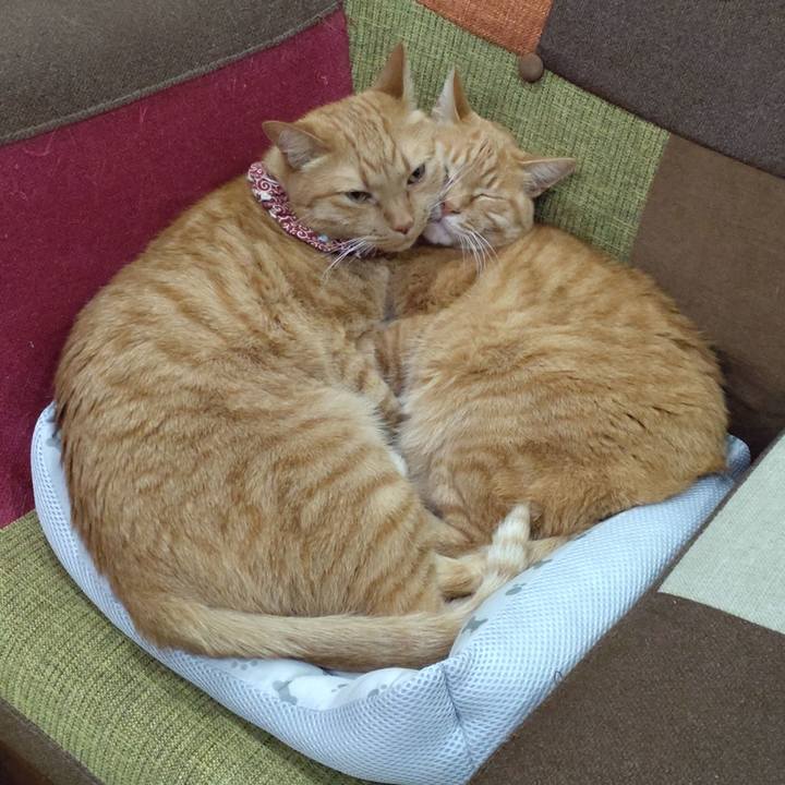 1bba1a33 faf0 49a9 b937 5942d6132a7b 1713364697442