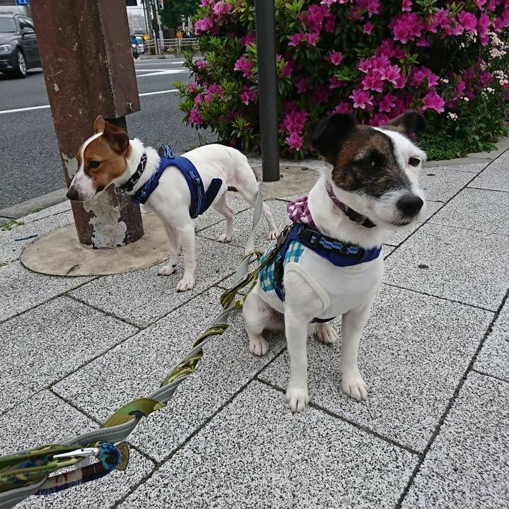 1bba32eb b635 4dcf 8246 a7200e50d6a1 1524523023320