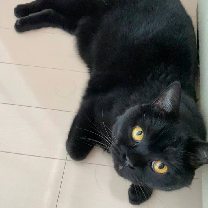 1bba5bfd 8d56 4237 813d c16976a862e8 1653369102708