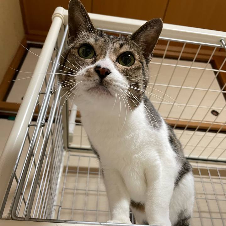 1bba70e0 4a05 4fde b3ed a300b5ecd460 1642731276072