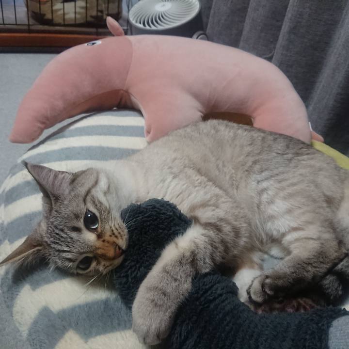 1bbaa86d f187 4c7a 8d20 eb2f43541e40 1582918878652