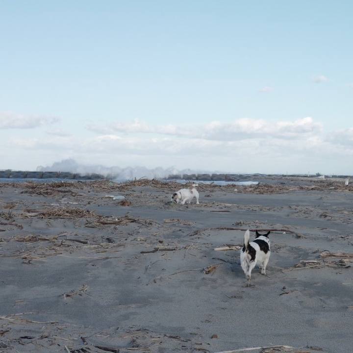 1bbab8a6 f634 4668 827d 0eadd9c638a5 1573962590706