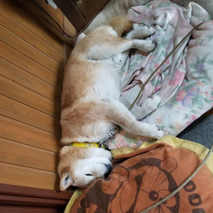 1bbb01d5 ca63 487b 85b6 737b3f7e2a4a 1682555783804