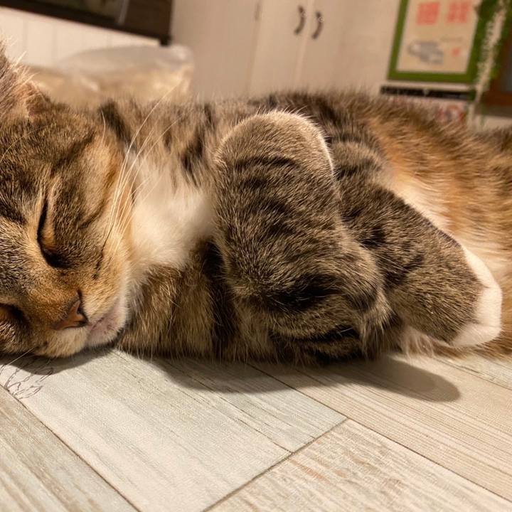 1bbb51ba 5250 4d5f 8bf4 7903e43358f5 1607698534972