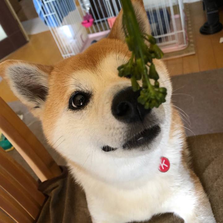 1bbb7cb1 67aa 4aeb 90ca e78b25fd5c2a 1557535656299