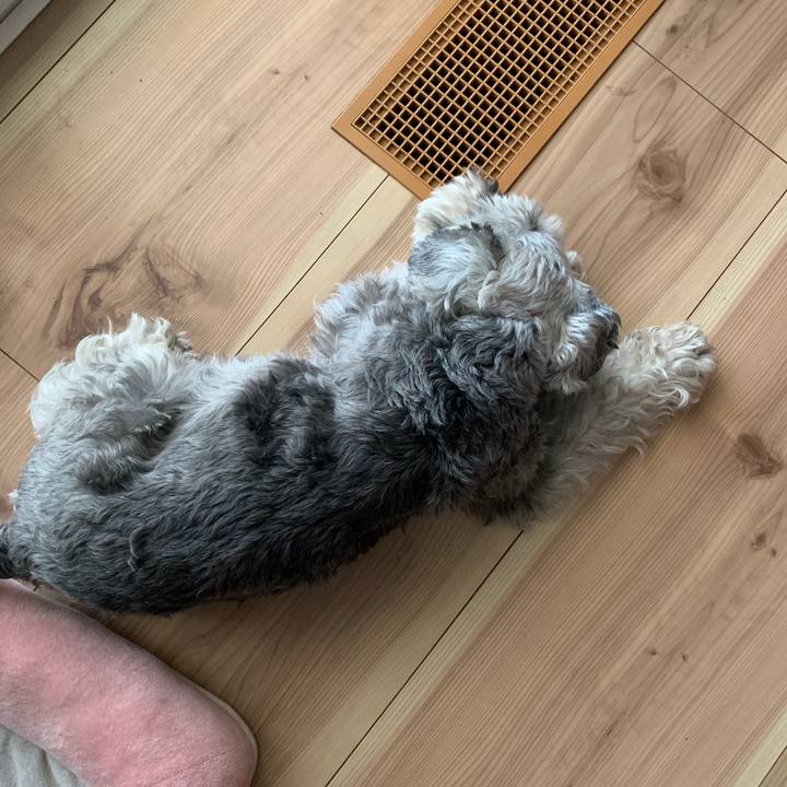 1bbb8248 23dd 4358 a26b 64ef7e10be61 1658891222364