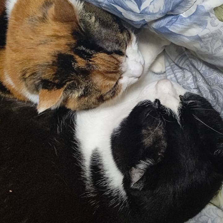 1bbb87e1 328d 4180 8dfb dd21c2c8062a 1639443718650