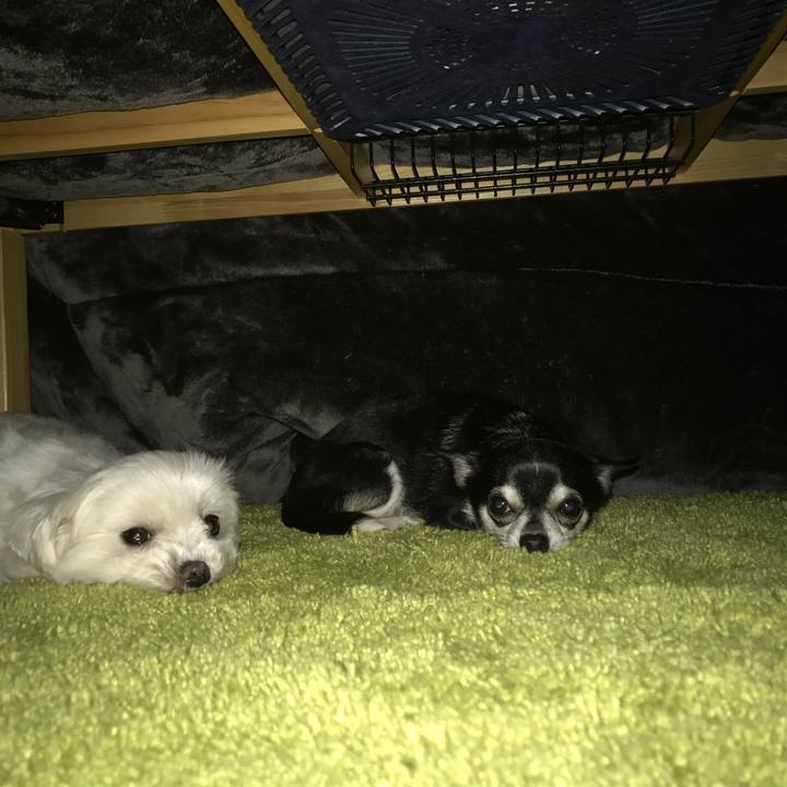 1bbb92bd d5f0 45d0 ba47 635b97376ebc 1514677158125