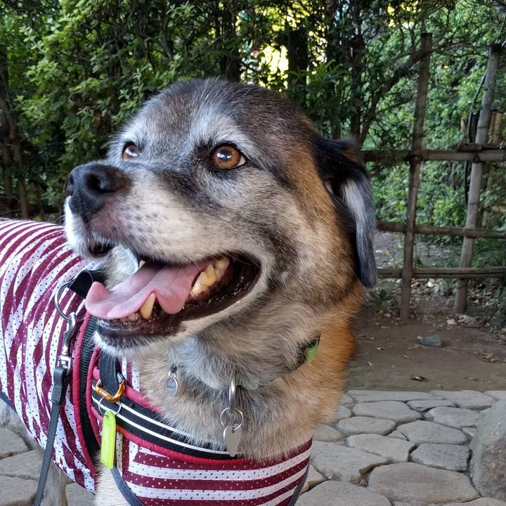 1bbb9c7b 1621 4a00 8316 bb4c0a609e1e 1534980869871