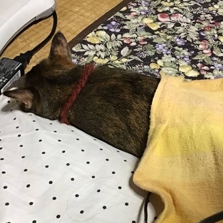 1bbbd76a 6acb 4e9d ae16 9cd6bc9bda61 1639389200264