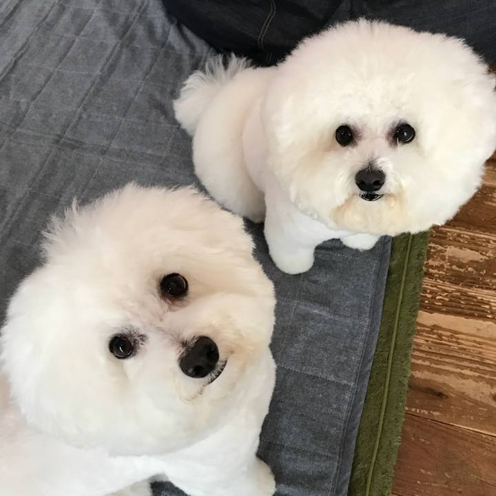 1bbbf156 666c 4900 b445 44a270717946 1557469463090