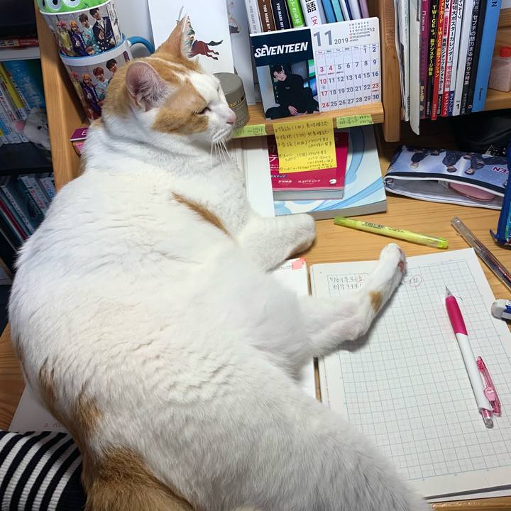 1bbc4ed0 692a 4f6e b7a9 ae561b7c2d22 1572840550325