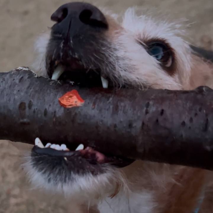 1bbc540e 8931 4d8e aea1 94683f25f6e3 1735556145438