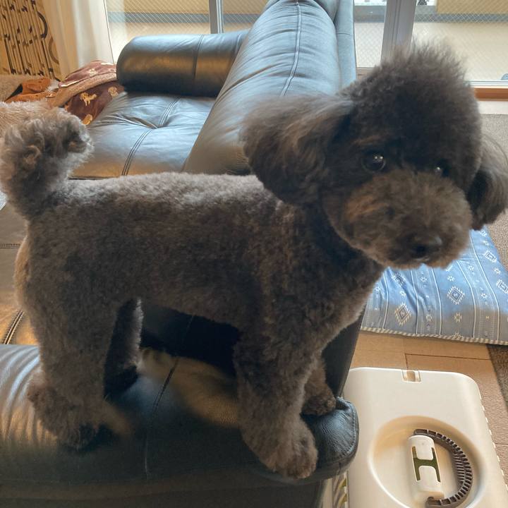 1bbc546b 72d0 40f3 aecd 7f70e5b816d0 1622043717613