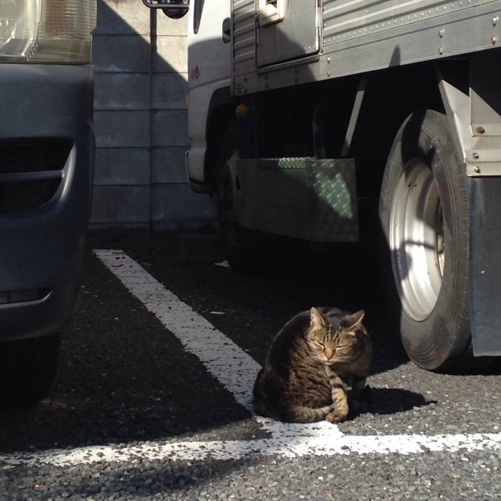 1bbc8031 371f 46a4 aae7 ba701c8e64c8 1510464389691