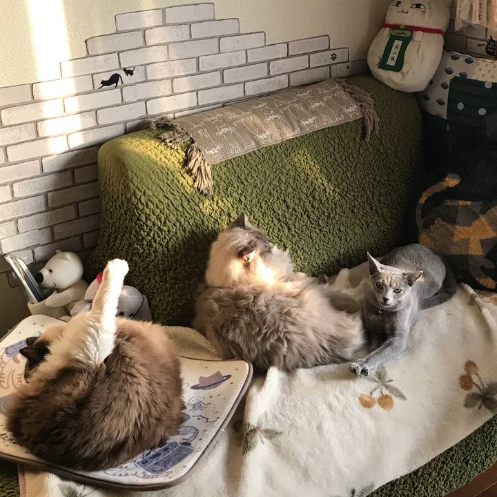 1bbc9892 ba1c 42de 9e69 fbb827803d2f 1516456857593