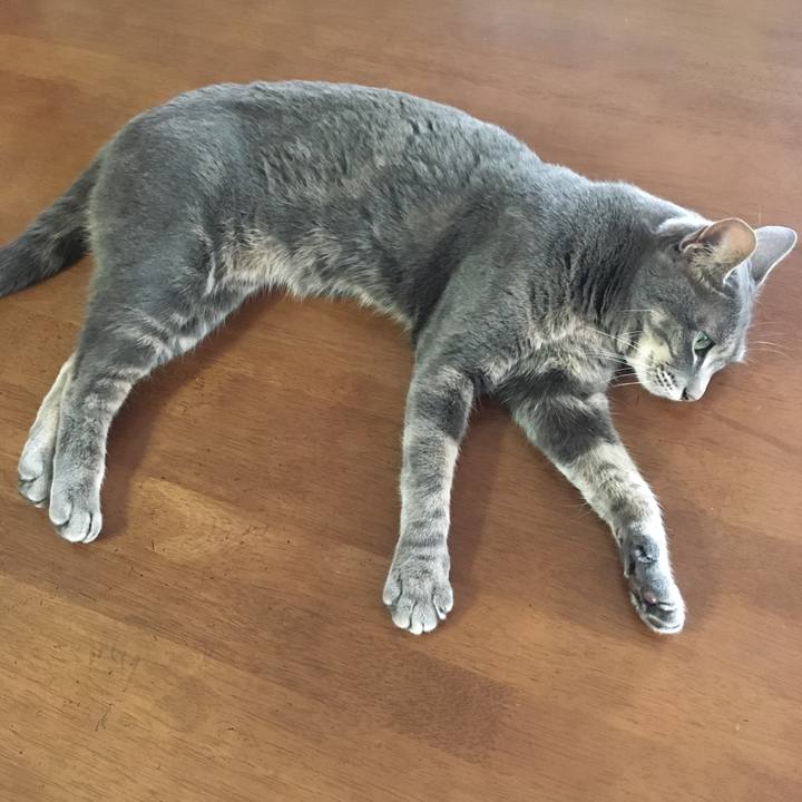 1bbca578 3a89 49df af89 f875b792b6ac 1591154205641