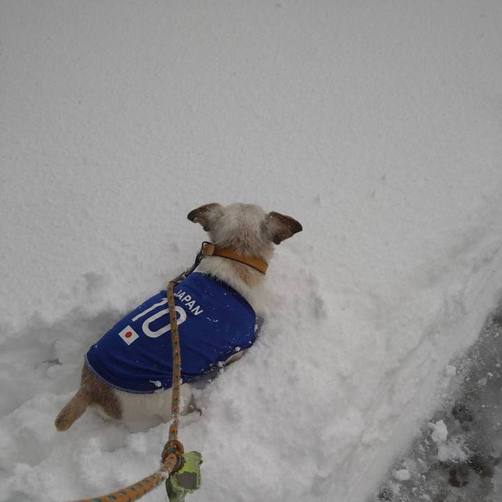 1bbcaade 5ebc 45bd a50c bf8a06dd0fb4 1738752454741