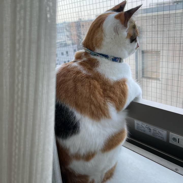 1bbcb70a 8eac 4466 8509 6088d996f08e 1725763519057