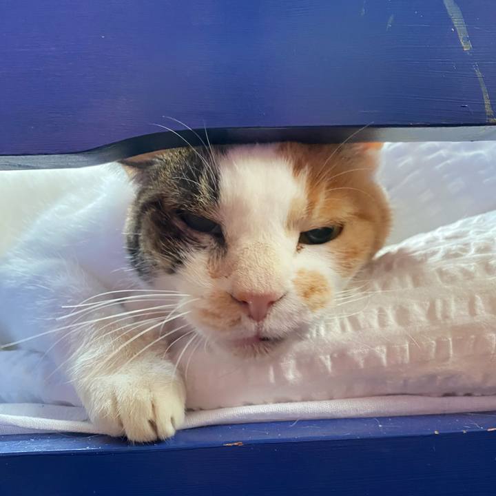 1bbcc27b cadf 43e9 8934 84009ada39ac 1699693547812