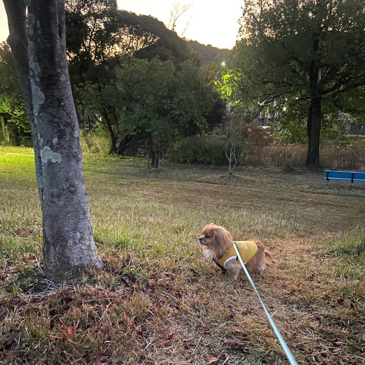 1bbccd00 2a1c 4d40 a268 f195aacee9f7 1639172294905