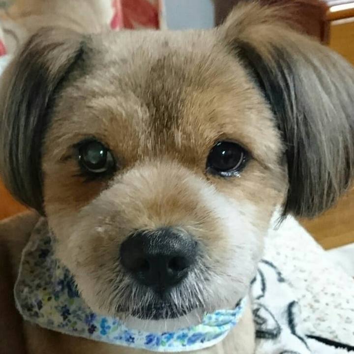 1bbce67e a97e 438a 8f60 54451b15c5d0 1543232735494