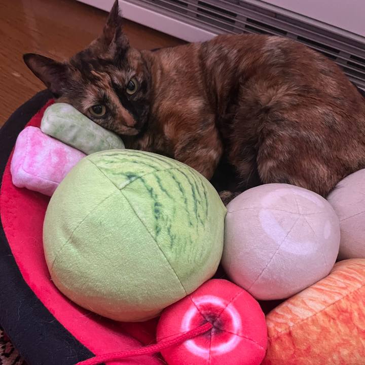 1bbcee57 c068 412e b573 b61d90ddc707 1764127585118