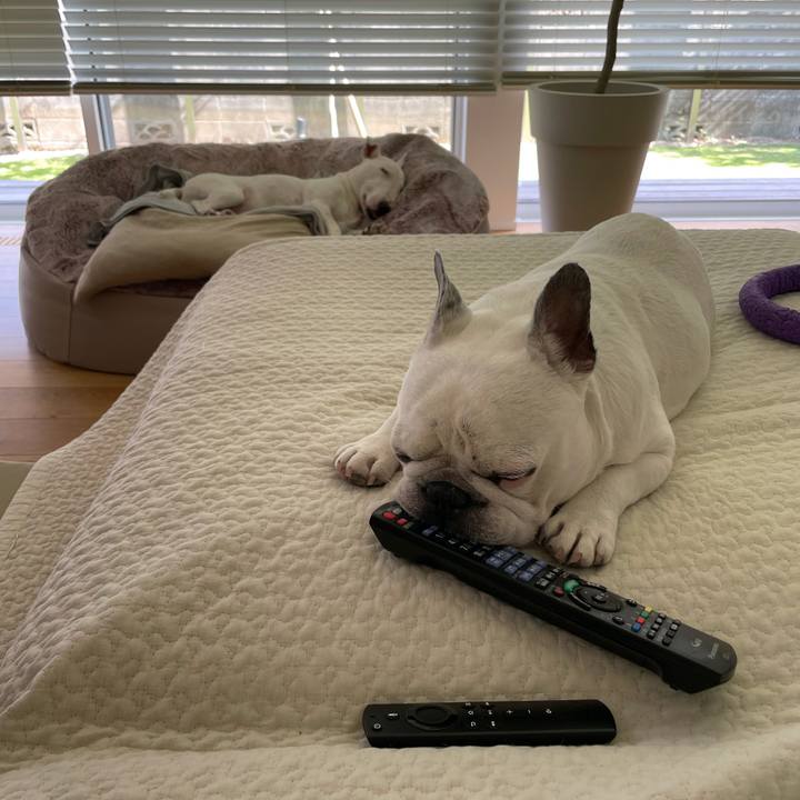 1bbd7b1e 5428 4501 88b4 fe293a4bb187 1628319743917