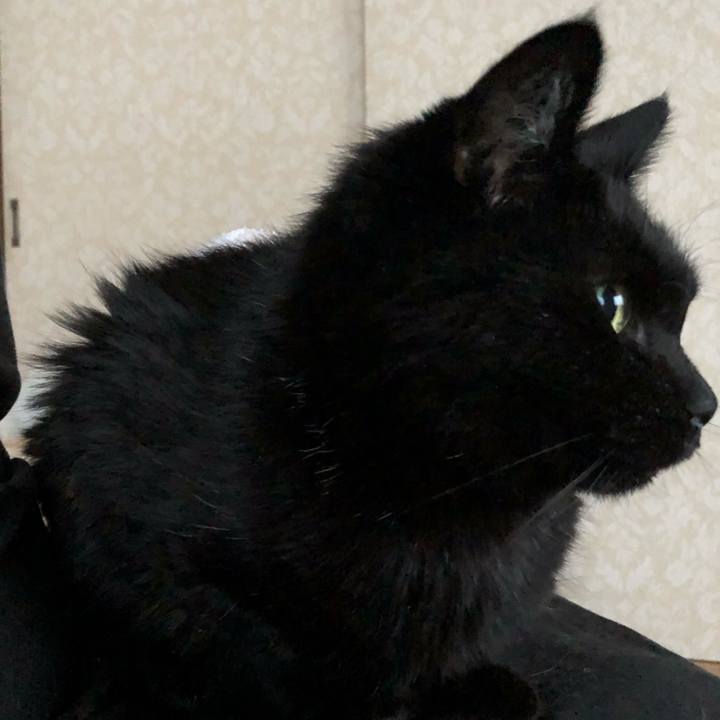 1bbd912a 3d8e 4c3d a4a1 c951a244c693 1639346567116