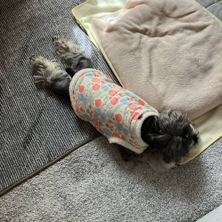 1bbd94d3 1a44 4ed5 9c46 bc3512bc2295 1773550471899