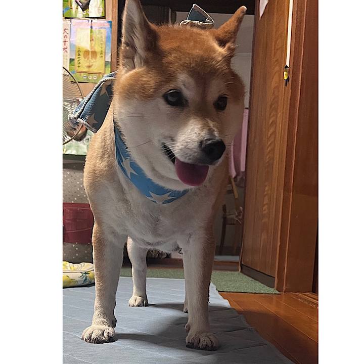 1bbda79e bc9b 47d0 8796 341a1fef204b 1720608066028