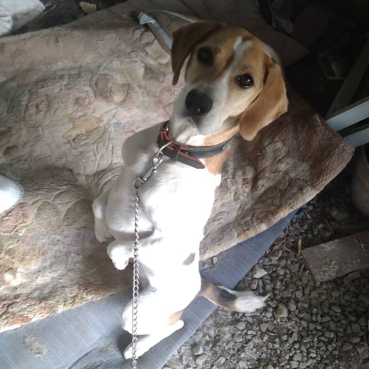 1bbdc026 0c86 42c2 a530 09005434a609 1654237810248