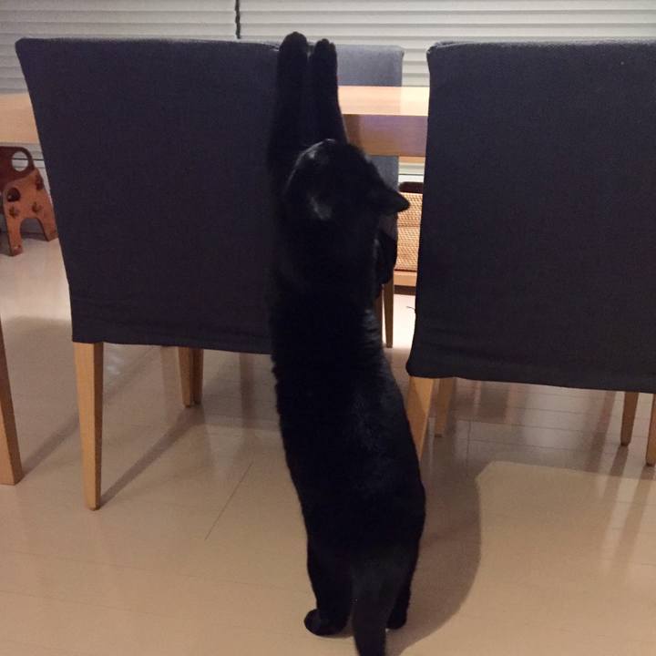 1bbdc7a2 b6e2 481b 9641 c259450d341c 1582456399465