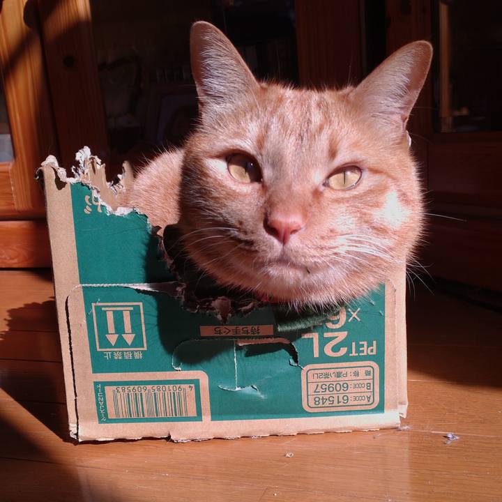 1bbddfd2 2d34 45ae 98e4 f1dd6b6b8cf3 1644212405127