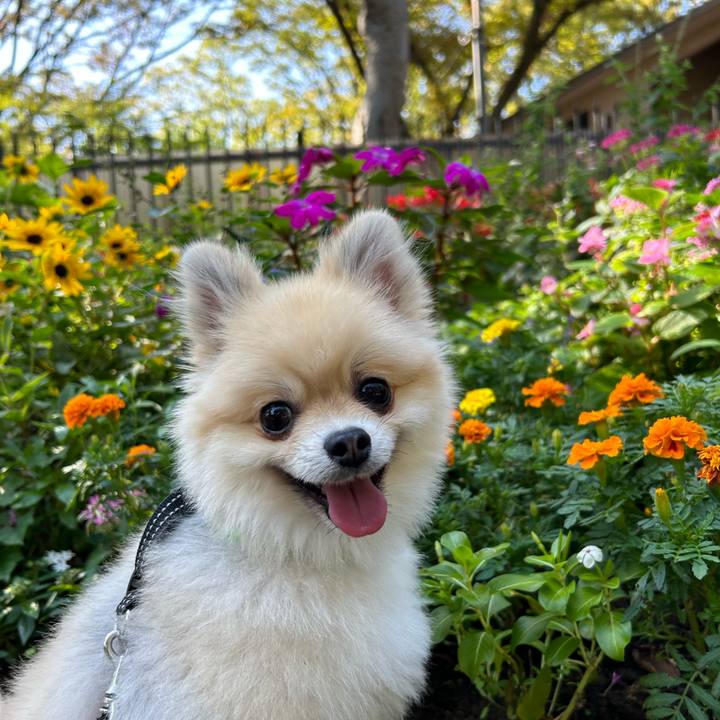 1bbde193 c5e2 4d79 b62f 9b24261c75a1 1730725483441