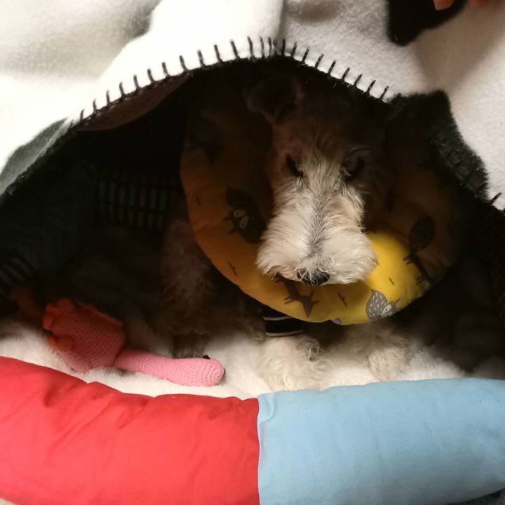 1bbe150a c5fc 4d67 9a7e 50471fd1891b 1640215876620