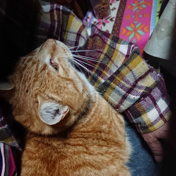 1bbe3ca0 aa9a 4b08 b17c 77a08fb1aada 1578689055031