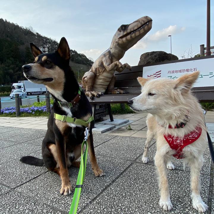 1bbe8a75 99e5 4df1 8d9c c739cdd8d5fe 1649236287195