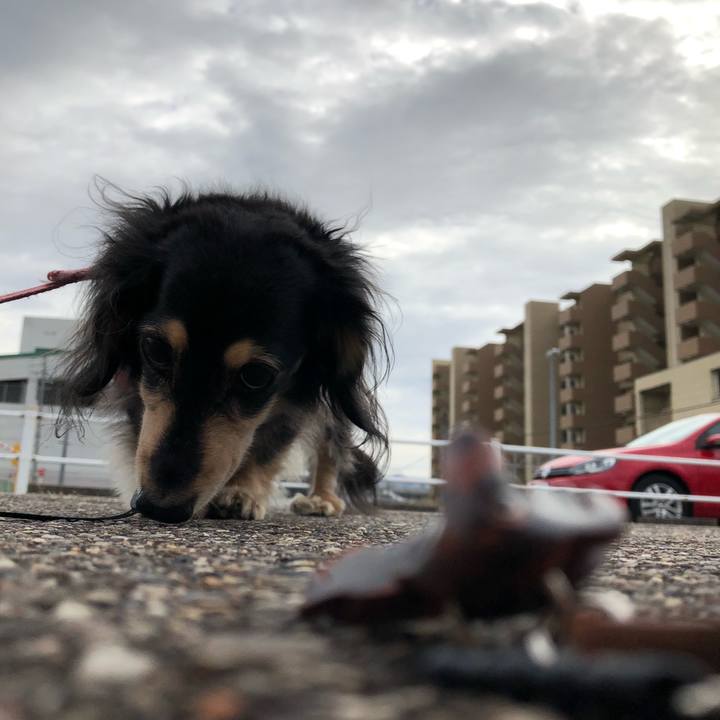 1bbe8cb8 00f6 4cbc ac92 0ca20d57801b 1577319005153