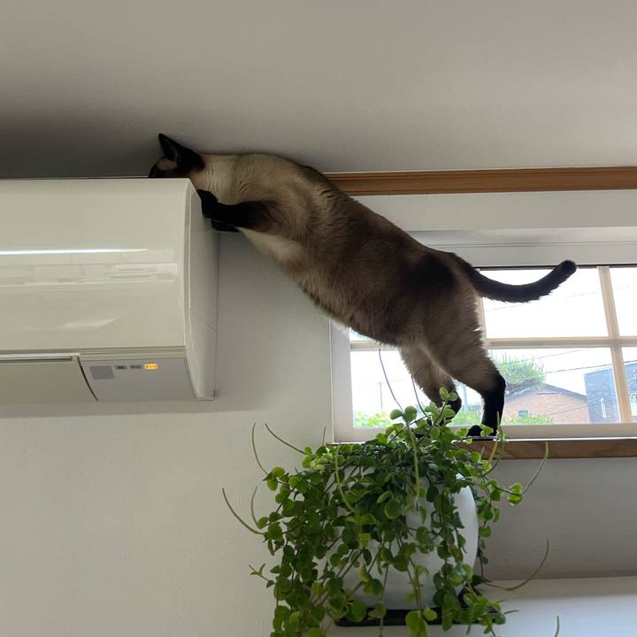 1bbe9caa 2be4 401b a629 c695e2d3eb34 1751316785157