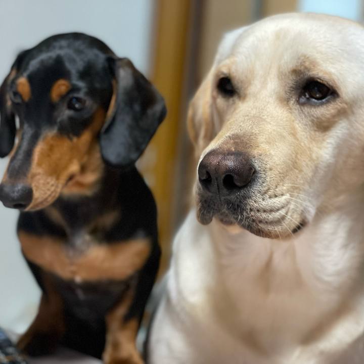 1bbea1e4 1084 4200 a49d fc7b796f572a 1655205726741