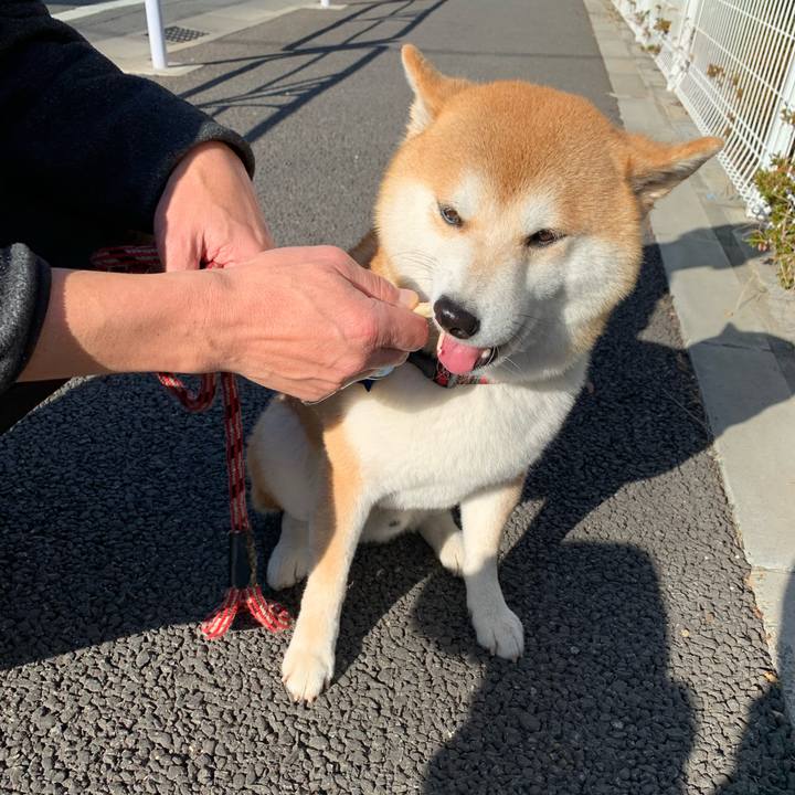 1bbebabb be1f 4086 b588 a3697a8d1672 1576386628923