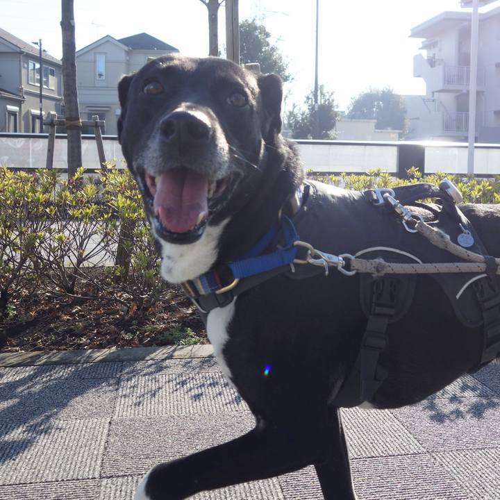 1bbec41f 18ea 457b b660 25d4a4fc93fd 1647218451736