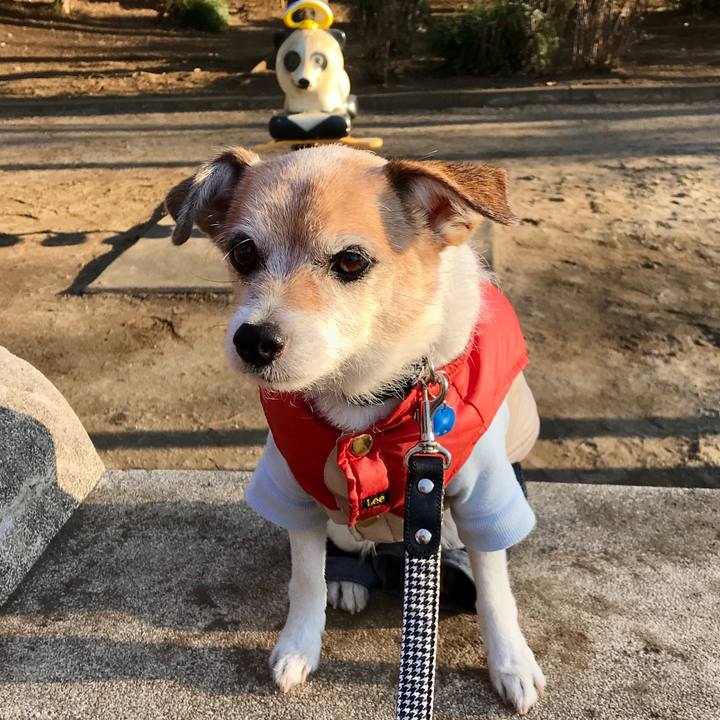 1bbf2455 26bc 47fb 99b9 07f136e4e4a1 1641114911011