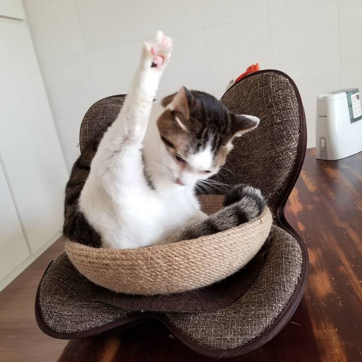 1bbf331a 3920 42ec a8d5 ae0349db13a3 1614384785890