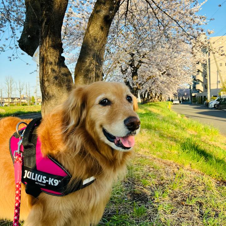 1bbf630b cc80 4a33 8a9b 4960b483949b 1712804504832