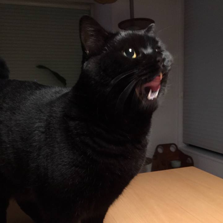 1bbf84d0 c0c4 40fc 8fed e5f2603198aa 1535120502580