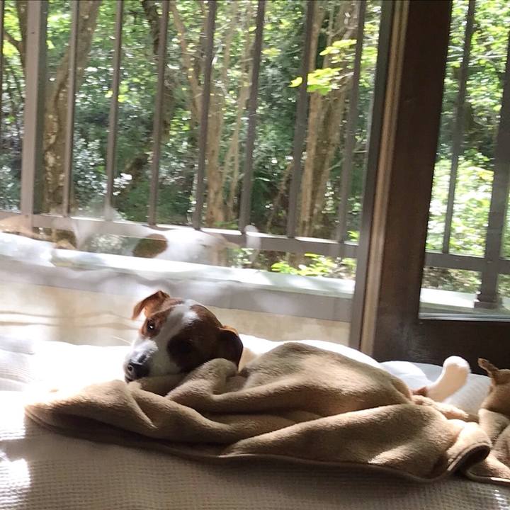 1bbfa639 fa16 4e38 828d 7924a15eda9d 1524870026655